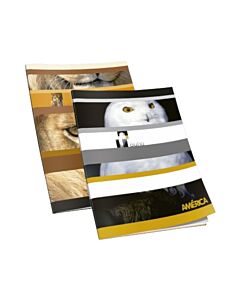 Cuaderno America N°3 Rayado x 86 Hs.