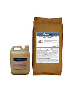 Resina Propart (81/83) AA para Laminar x 4 Kg.