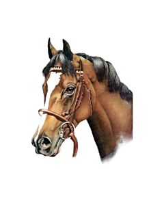 Encastrable Kartesanias (1554) Caballo 60x40
