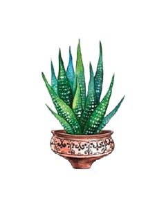 Encastrable Kartesanias (1680) Captus 9 50x42