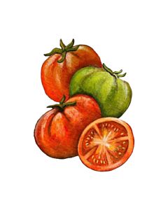 Encastrable Kartesanias (2371) Tomates