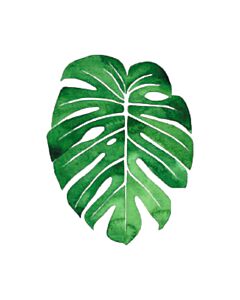 Encastrable Kartesanias (1703) Hoja 1 30