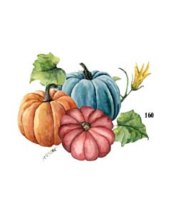 Encastrable Kartesanias (1607) Zapallos Coloridos 20x30