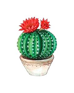 Encastrable Kartesanias (1676) Cactus 5 25