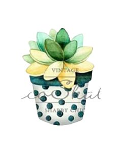 Encastrable Kartesanias (2334) Suculenta