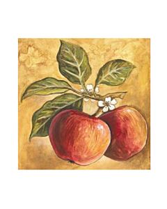 Encastrable Kartesanias (1605) Manzanas Hojas 60x30