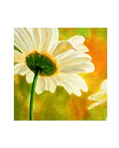 Encastrable Kartesanias (1633) Margarita A 30x30