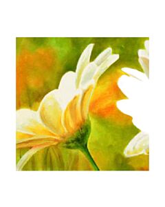 Encastrable Kartesanias (1634) Margarita B 30x30