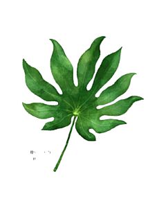 Encastrable Kartesanias (1706) Hoja 4 30