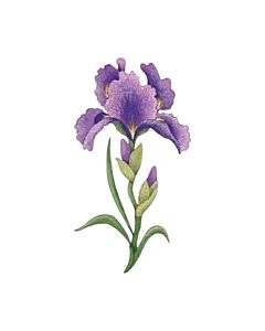 Encastrable Kartesanias (2475) Lirio Lila