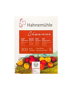 Block Hahnemühle Cezanne 36 x 48 Cm. Grano Fino Natural x 10