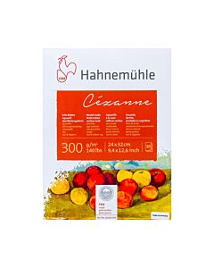 Block Hahnemühle Cezanne Texturado 30 x 40 Cm. Grano Grueso