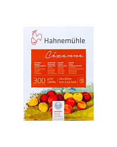 Block Hahnemühle Cezanne 36 x 48 Cm. Grano Satinado Natural