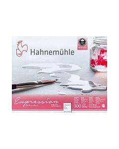 Block Hahnemühle Expression 24 x 30 Cm. Grano Fino Natural x