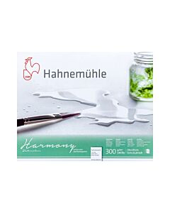Block Hahnemühle Harmony 40 x 50 Cm. Grano Satinado Natural
