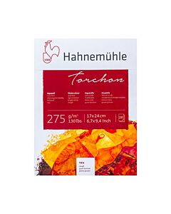 Block Hahnemühle Torchon Texturado 17 x 24 Cm. Grano Grueso