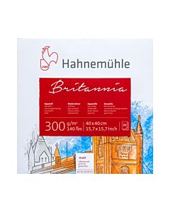 Block Hahnemühle Quattro Britannia 40 x 40 Cm. x 30 Hs.