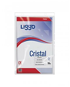 Folios Liggo Oficio x 10 Un.