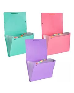 Clasificador Lama A4 Anual Pastel