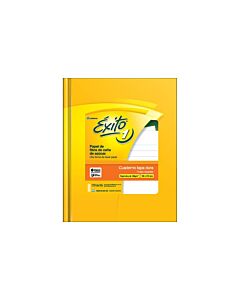 Cuaderno Exito E1 N°3 Sin Forrar x 100 Hs.