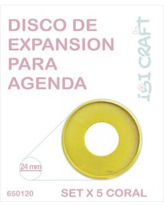 Anillo Ibi 24 Mm. x 6 Un.