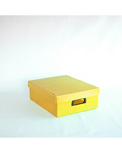 Caja Plana 801 45x35x15 Cm.