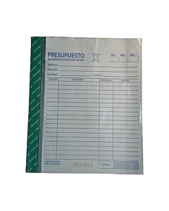 Talonario Alianza Duplicado Grande x 50 Hs.